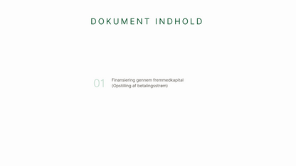 Gratis demo dokument (Finansiering med fremmedkapital - Lommeregner)